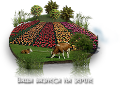 Виды бизнеса