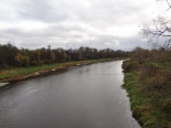 Продажа 9 земельных участков от 5 Га на реке Ловать в Псковской области